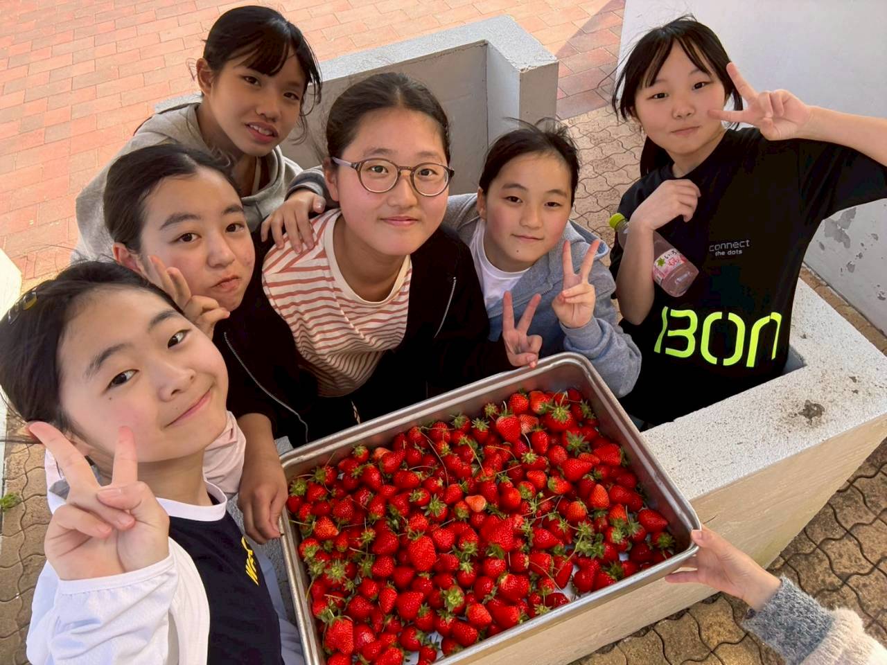 LINE_ALBUM_202658ニ年女子いちご狩り_260511_2.jpg