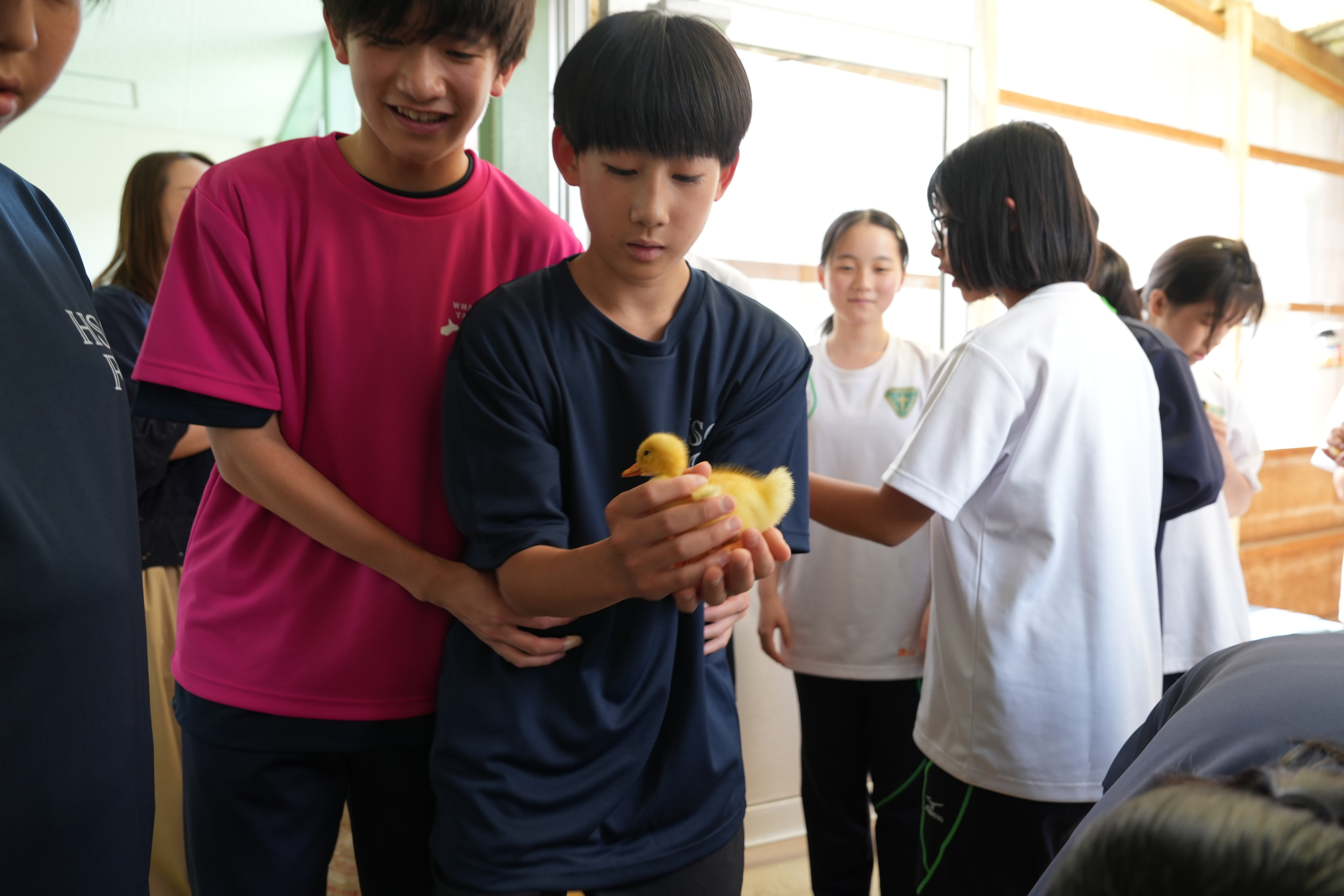 DSC01709.JPG