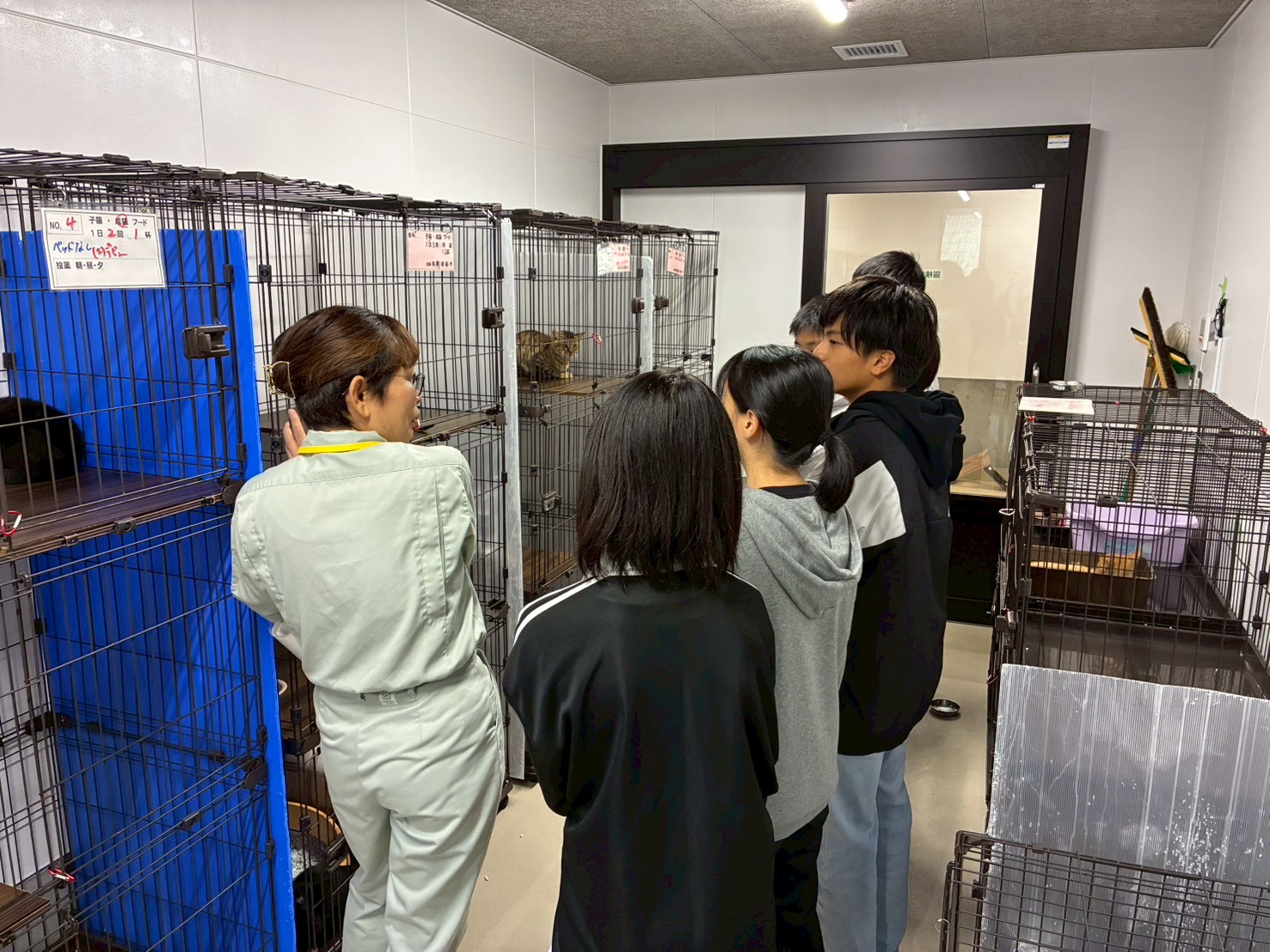 LINE_ALBUM_1年生　動物の命の教育　校外学習の記録_251007_5.jpg